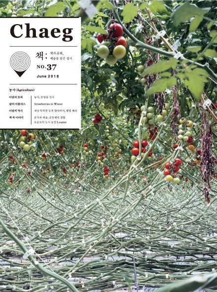 Chaeg 매거진 출판 디자인 이미지 37